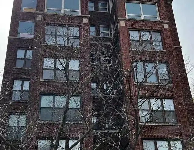 Brightening Urban Living The Evanston Residential Window Upgrade in Illinois