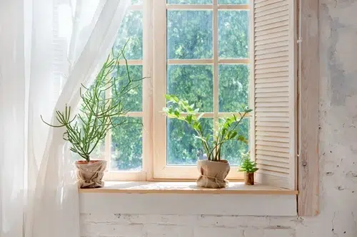 Image Garden Windows