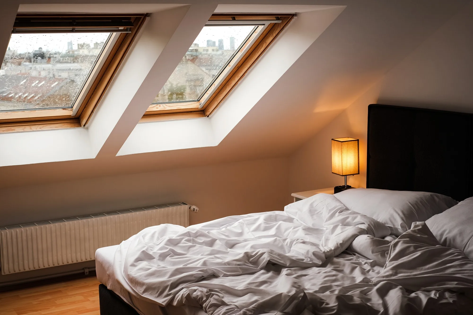 Skylight Windows for Sale