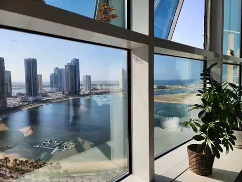 Custom Garden Windows