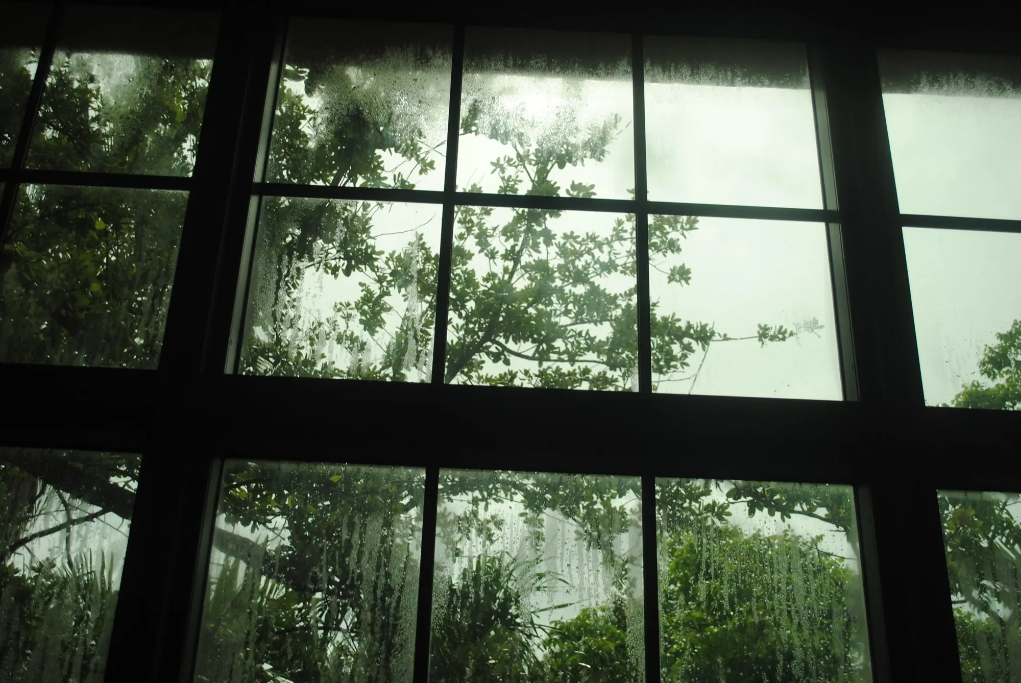 Weather-Resistant Windows and Doors for Sale