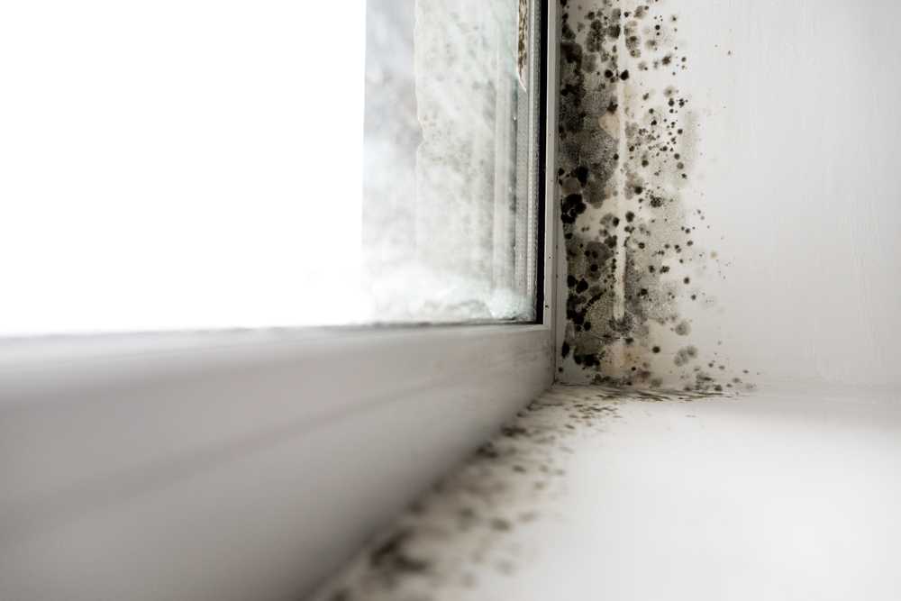 Eliminating Mold from Between Window Panes